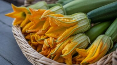 Les fleurs de courge croquantes à savourer lors de vos repas pour un instant gourmand et coloré